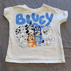 Kids White Short Sleeve Tee Featuring Bluey Character Graphic